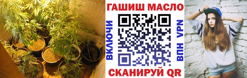 MEGA сайт  Карачев  ТГК THC oil 