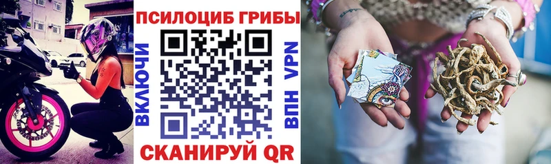 это клад  omg зеркало  Карачев  Псилоцибиновые грибы ЛСД 